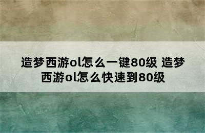 造梦西游ol怎么一键80级 造梦西游ol怎么快速到80级